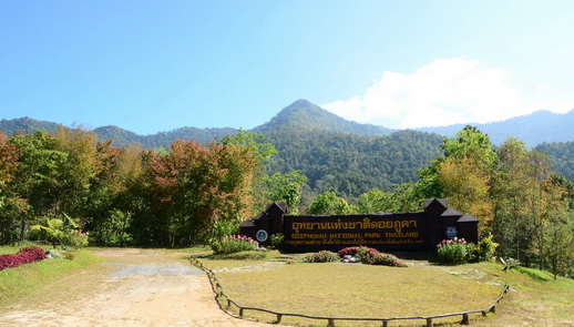 ชื่อ:  DSC_5787.jpg
ครั้ง: 1436
ขนาด:  168.7 กิโลไบต์