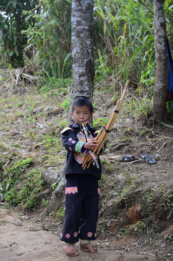 ชื่อ:  DSC_5813.JPG
ครั้ง: 1456
ขนาด:  242.6 กิโลไบต์