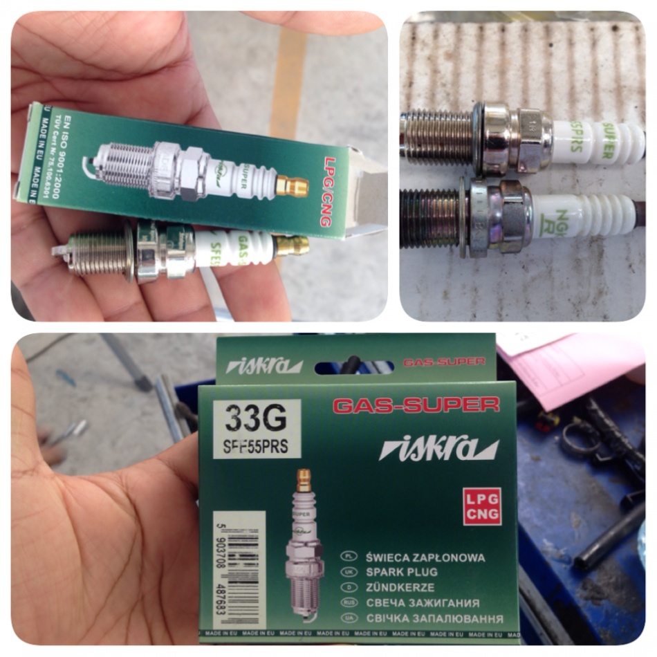 ชื่อ:  IMG_0423.jpg
ครั้ง: 199
ขนาด:  229.4 กิโลไบต์