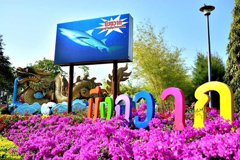 ชื่อ:  DSC_0292.jpg
ครั้ง: 320
ขนาด:  341.3 กิโลไบต์