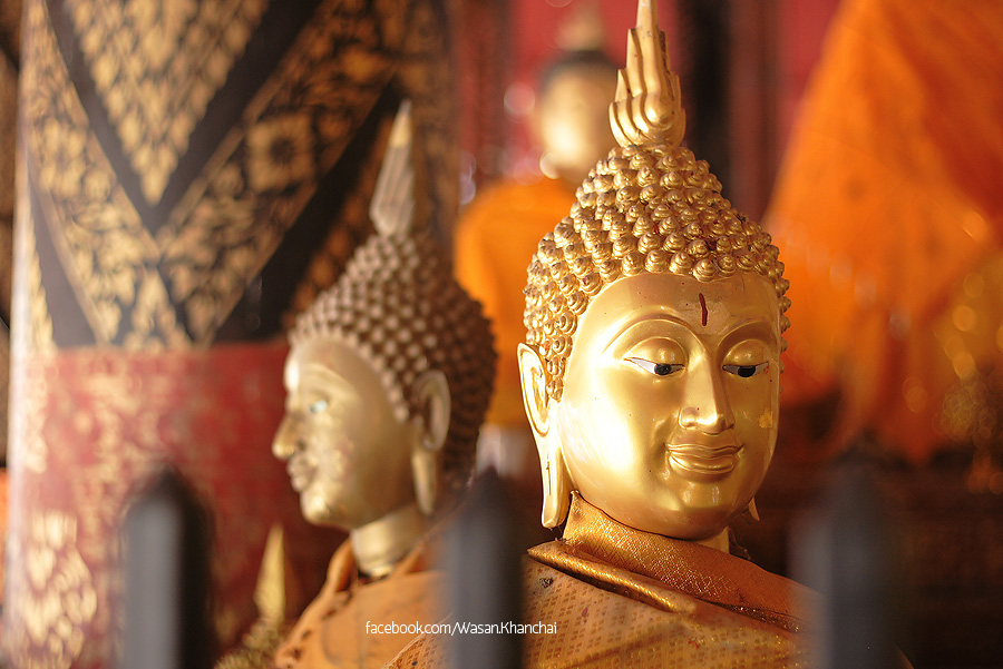 ชื่อ:  IMG_0076.jpg
ครั้ง: 627
ขนาด:  196.5 กิโลไบต์