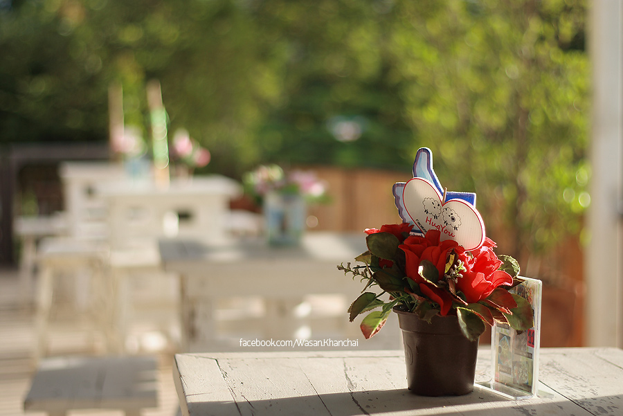 ชื่อ:  IMG_0160.jpg
ครั้ง: 593
ขนาด:  189.4 กิโลไบต์
