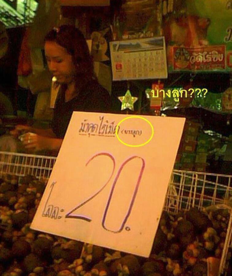 ชื่อ:  มังคุด.jpg
ครั้ง: 513
ขนาด:  74.1 กิโลไบต์