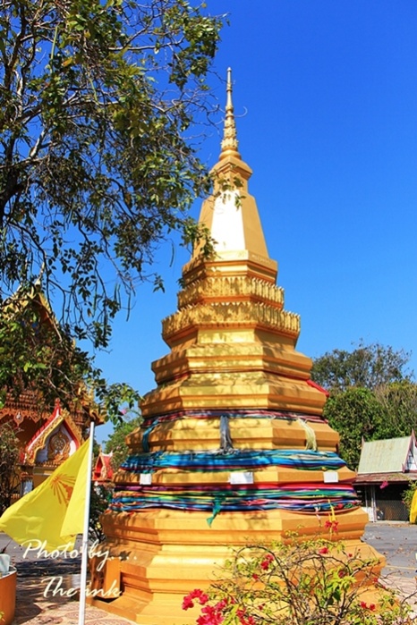ชื่อ:  IMG_0313.jpg
ครั้ง: 438
ขนาด:  180.6 กิโลไบต์