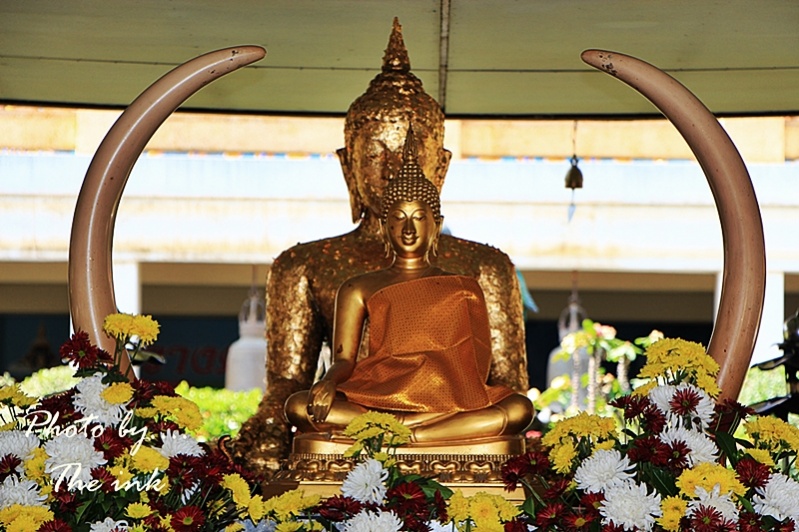 ชื่อ:  IMG_0393.jpg
ครั้ง: 428
ขนาด:  189.8 กิโลไบต์
