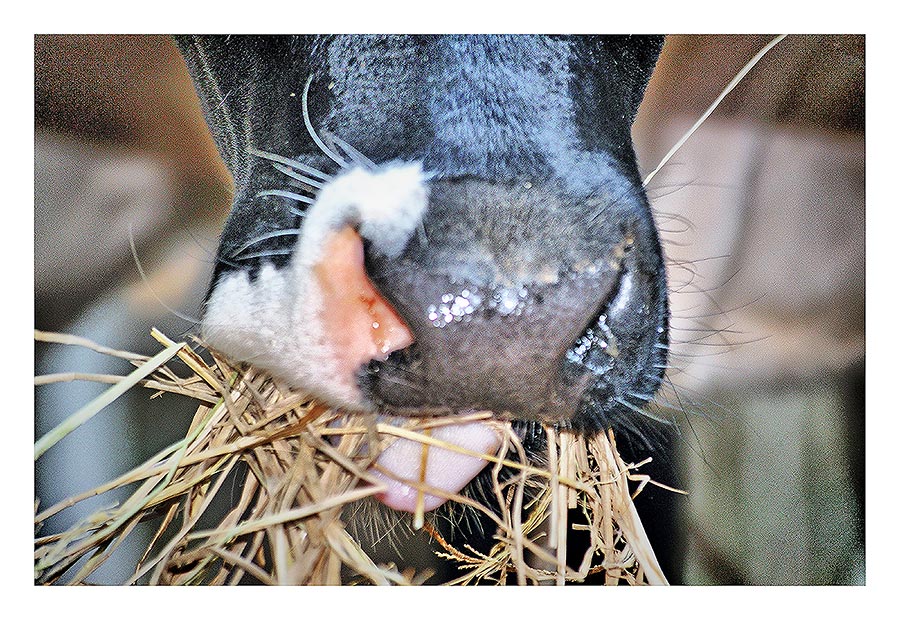 ชื่อ:  6370.jpg
ครั้ง: 705
ขนาด:  186.8 กิโลไบต์