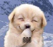 ชื่อ:  994401_570496586368822_2070606354_n.jpg
ครั้ง: 249
ขนาด:  6.2 กิโลไบต์