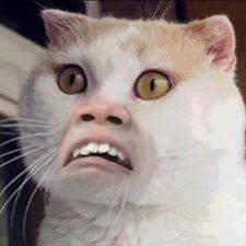 ชื่อ:  1522262_413874048745202_1236184953_n.jpg
ครั้ง: 424
ขนาด:  8.5 กิโลไบต์