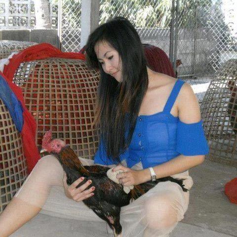 ชื่อ:  ไก่ชน.jpg
ครั้ง: 29169
ขนาด:  50.5 กิโลไบต์