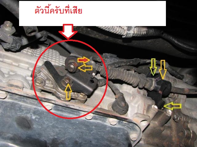 ชื่อ:  IMG_0012สายเกียร์re.JPG
ครั้ง: 6408
ขนาด:  105.7 กิโลไบต์