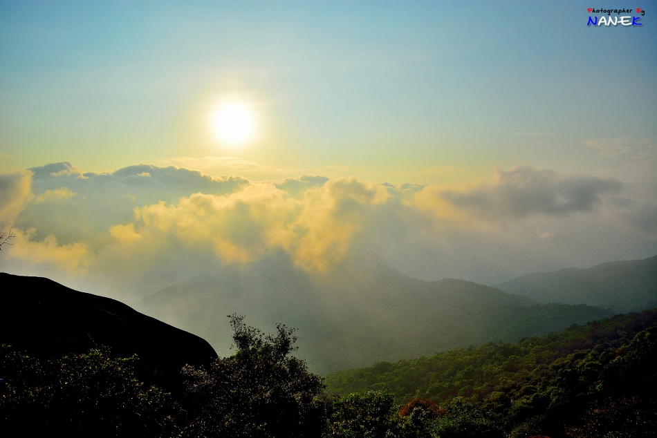 ชื่อ:  DSC_0149.jpg
ครั้ง: 244
ขนาด:  151.6 กิโลไบต์