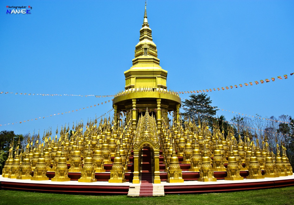 ชื่อ:  DSC_0104107.jpg
ครั้ง: 547
ขนาด:  304.6 กิโลไบต์