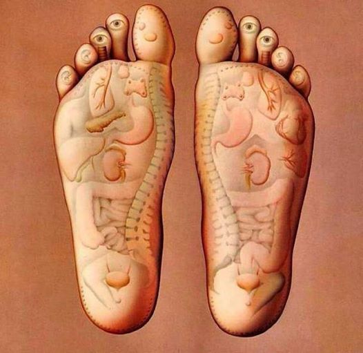 ชื่อ:  foot.jpg
ครั้ง: 414
ขนาด:  40.9 กิโลไบต์