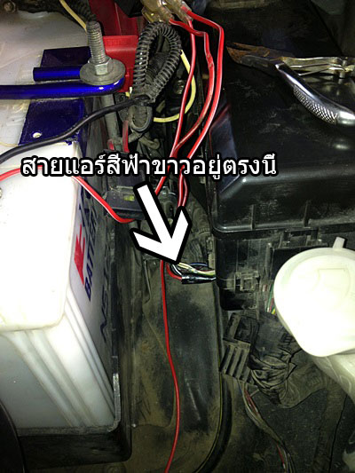 ชื่อ:  IMG_1868.JPG
ครั้ง: 3173
ขนาด:  60.2 กิโลไบต์