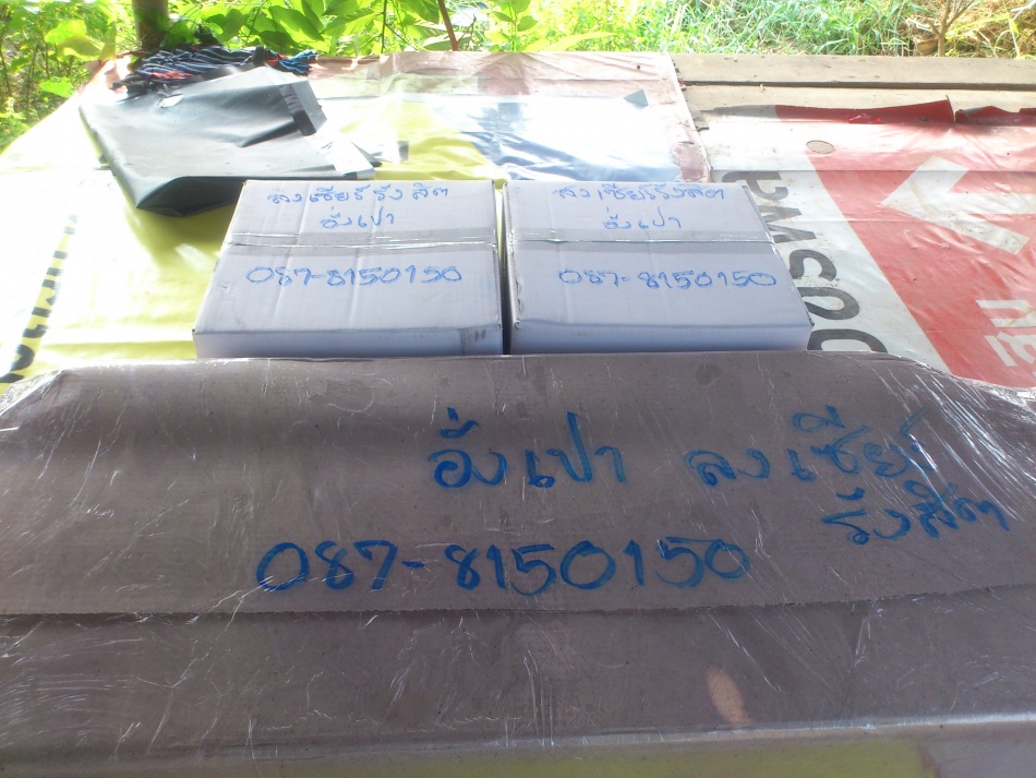 ชื่อ:  DSC_4764.jpg
ครั้ง: 417
ขนาด:  235.9 กิโลไบต์