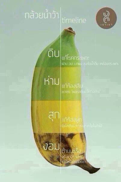 ชื่อ:  กล้วย.jpg
ครั้ง: 793
ขนาด:  22.9 กิโลไบต์