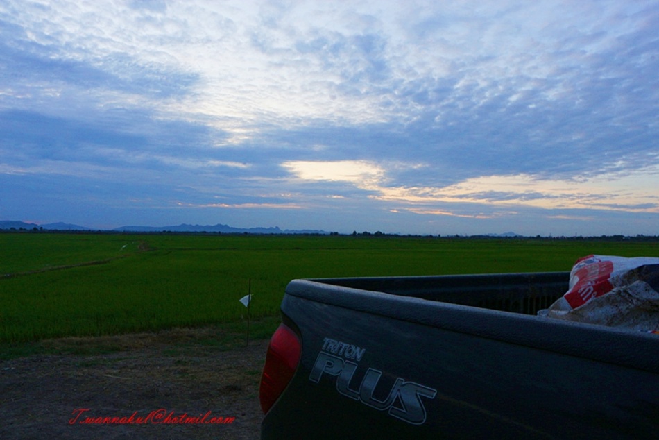 ชื่อ:  IMG_4090.jpg
ครั้ง: 415
ขนาด:  154.6 กิโลไบต์