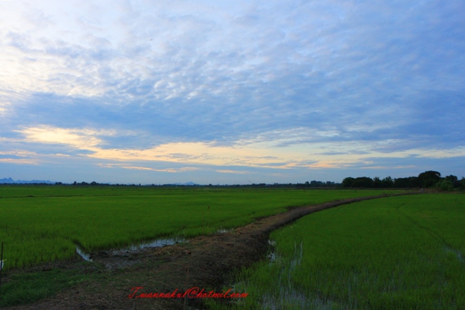 ชื่อ:  IMG_4103.jpg
ครั้ง: 391
ขนาด:  141.9 กิโลไบต์