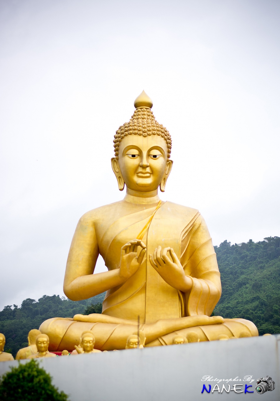 ชื่อ:  DSC_0016.jpg
ครั้ง: 699
ขนาด:  240.2 กิโลไบต์