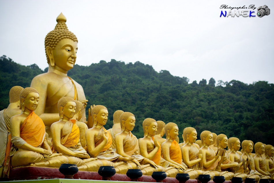 ชื่อ:  DSC_0027.jpg
ครั้ง: 1661
ขนาด:  207.0 กิโลไบต์