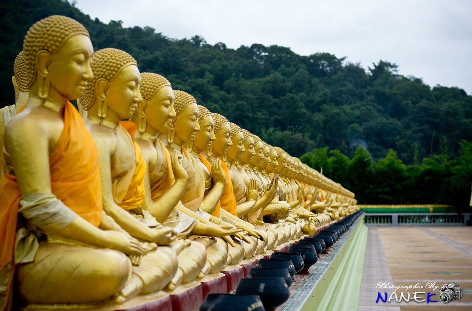 ชื่อ:  DSC_0032.jpg
ครั้ง: 1555
ขนาด:  210.5 กิโลไบต์