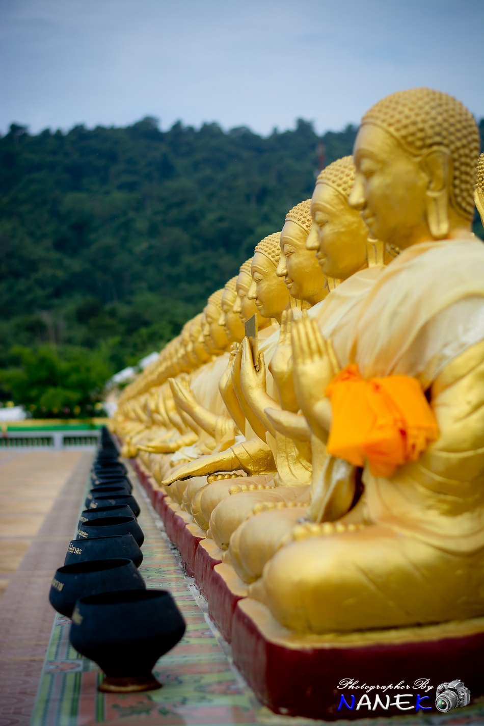 ชื่อ:  DSC_0052.jpg
ครั้ง: 585
ขนาด:  287.4 กิโลไบต์