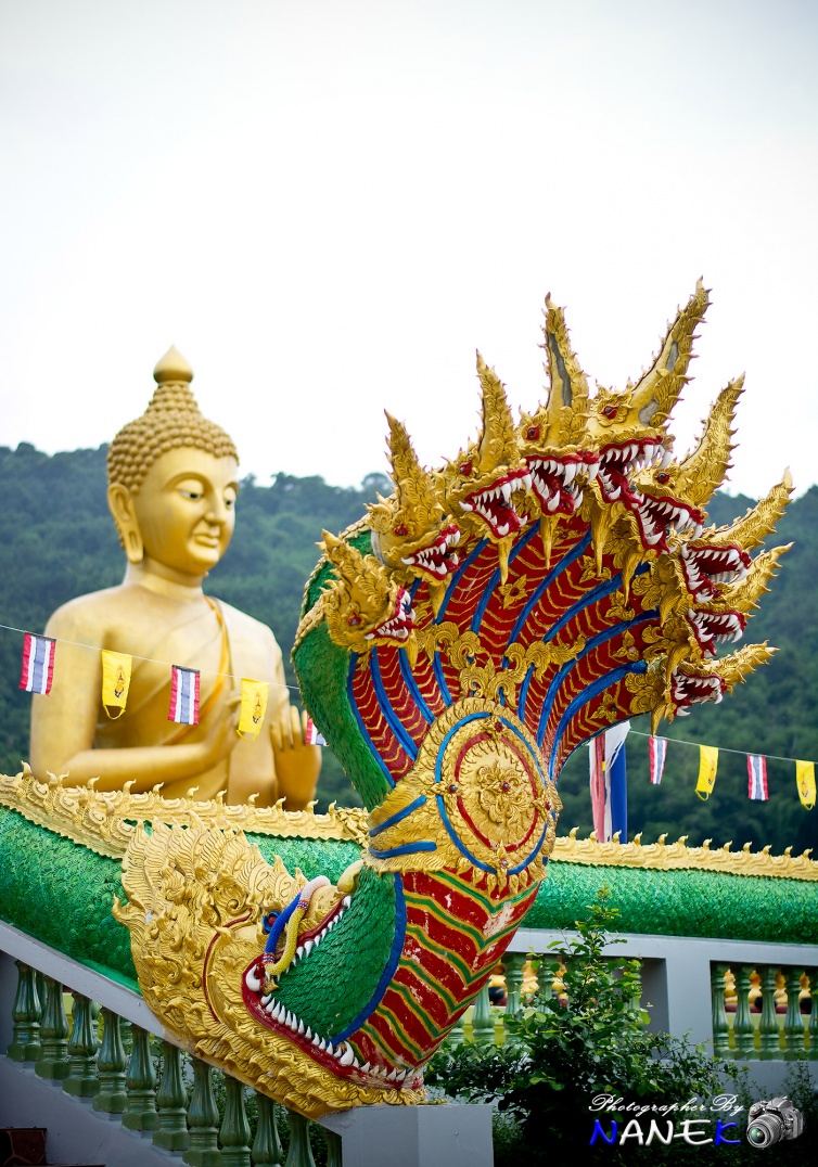 ชื่อ:  DSC_0020.jpg
ครั้ง: 583
ขนาด:  359.1 กิโลไบต์
