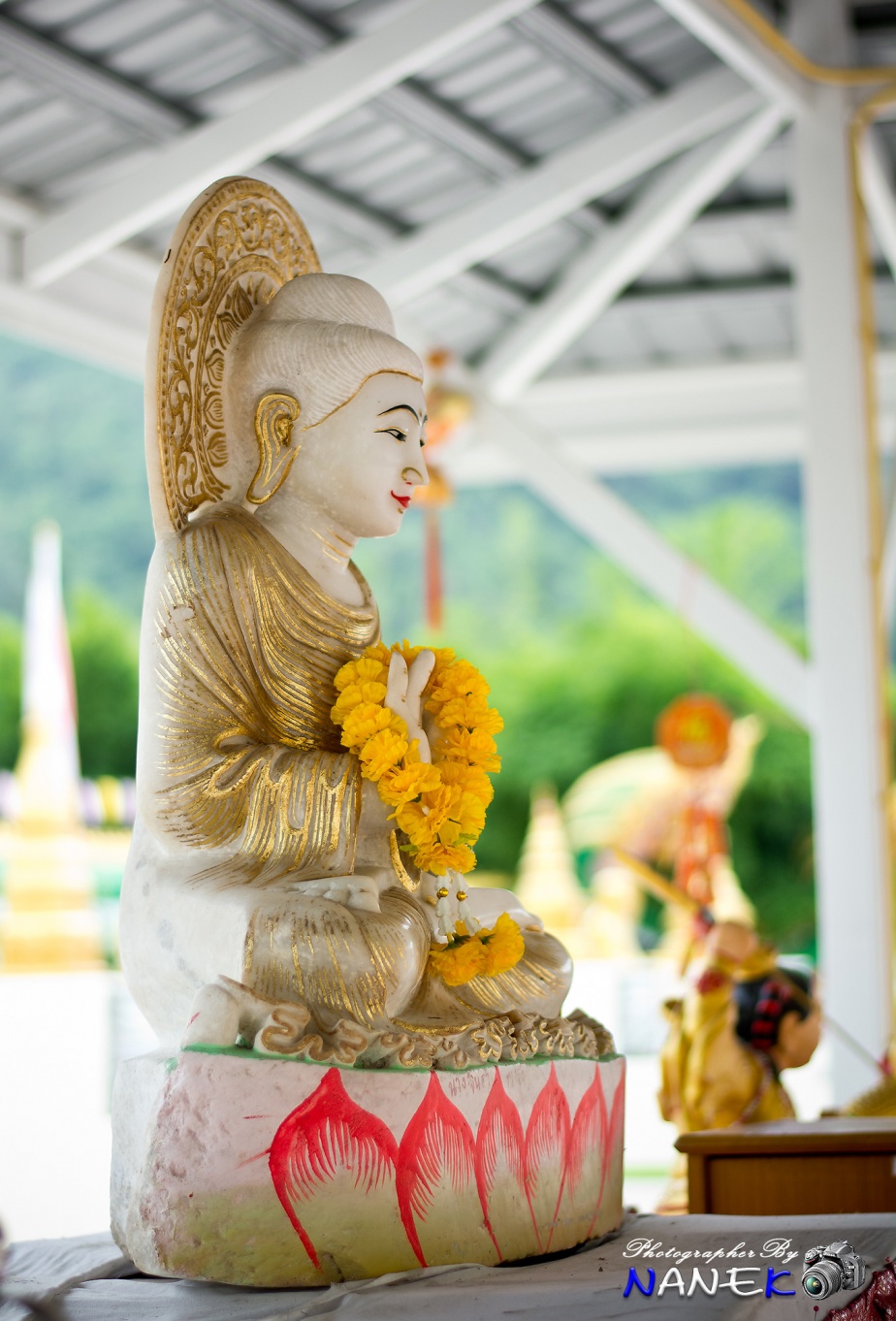 ชื่อ:  DSC_0018.jpg
ครั้ง: 567
ขนาด:  344.5 กิโลไบต์