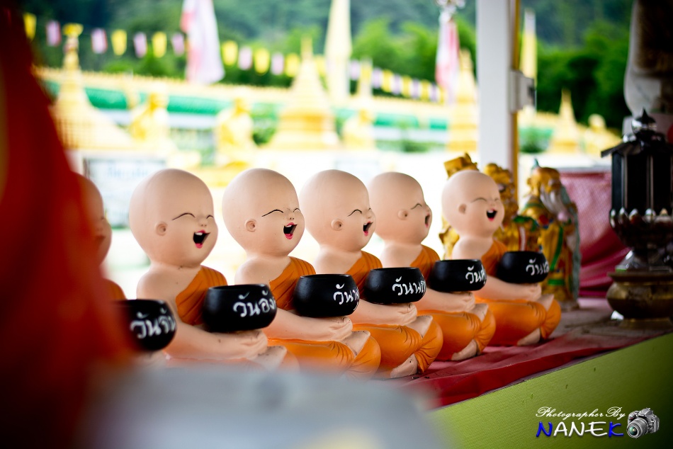 ชื่อ:  DSC_0017.jpg
ครั้ง: 641
ขนาด:  160.5 กิโลไบต์