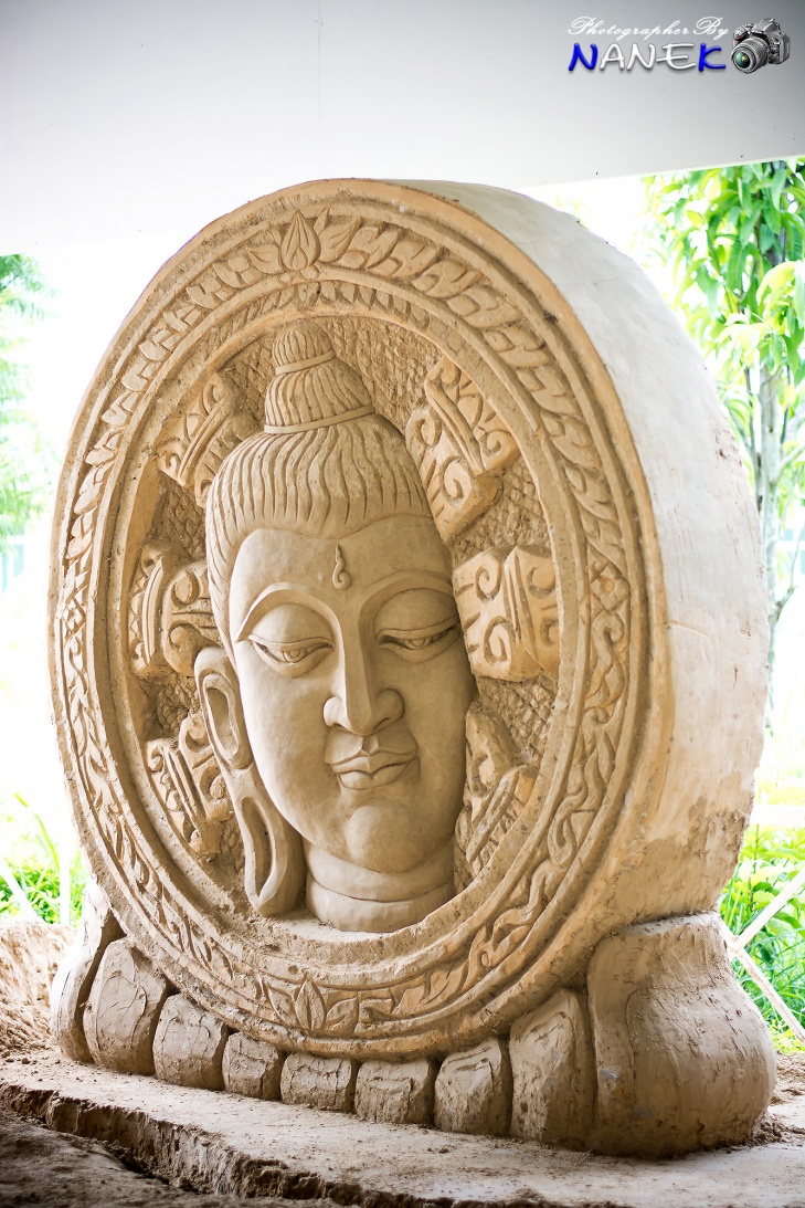 ชื่อ:  DSC_0071.jpg
ครั้ง: 545
ขนาด:  364.2 กิโลไบต์