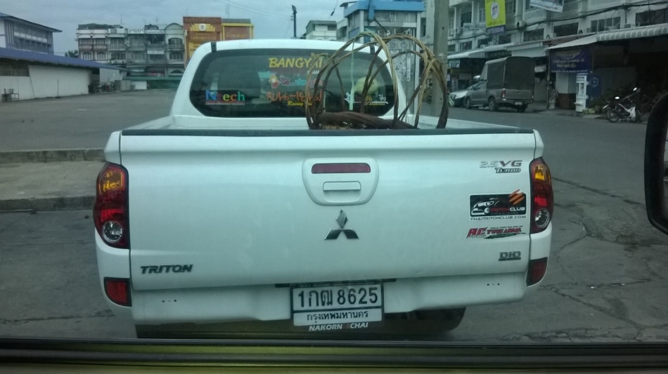 ชื่อ:  10498159_10152579779949137_7092551544889377970_o.jpg
ครั้ง: 759
ขนาด:  144.5 กิโลไบต์