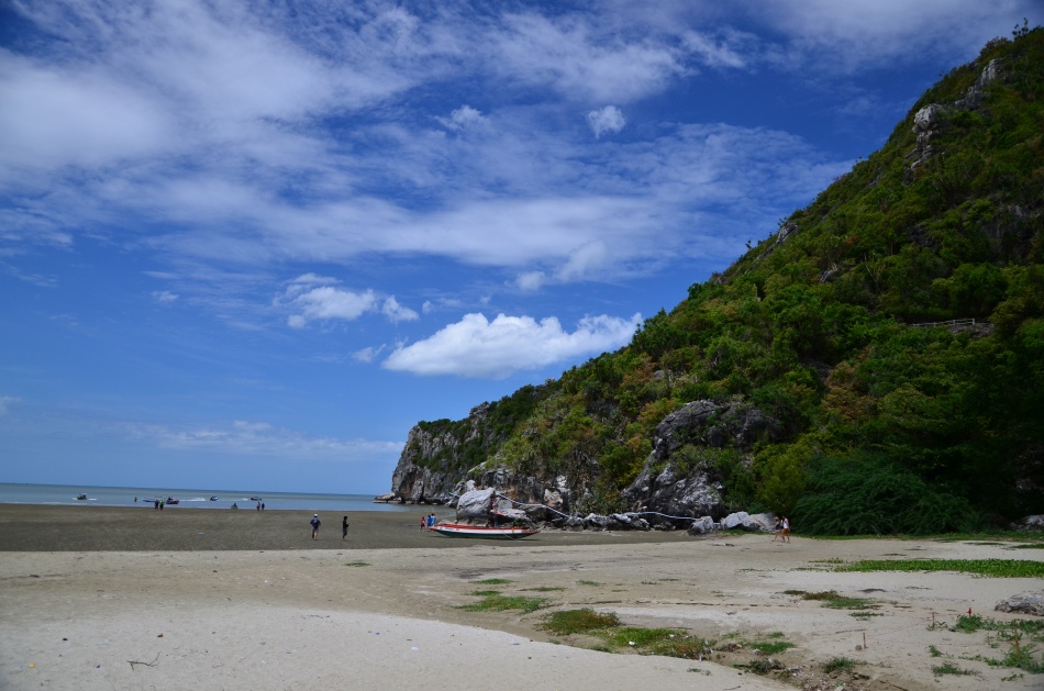 ชื่อ:  DSC_0666.jpg
ครั้ง: 247
ขนาด:  199.3 กิโลไบต์