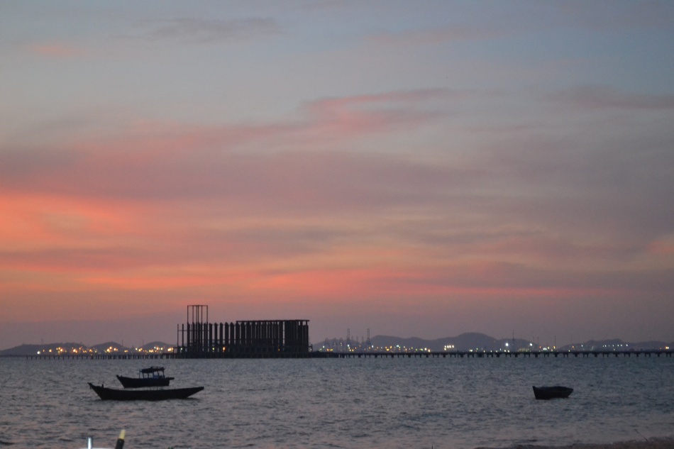 ชื่อ:  DSC_0115.jpg
ครั้ง: 244
ขนาด:  113.2 กิโลไบต์