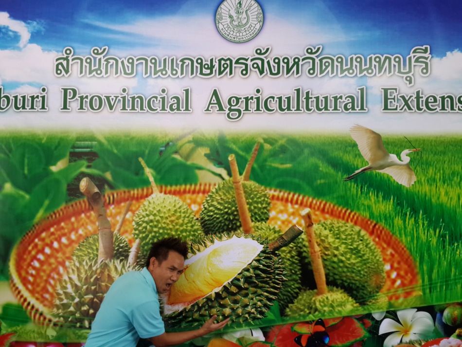 ชื่อ:  20140919_124601.jpg
ครั้ง: 198
ขนาด:  257.5 กิโลไบต์
