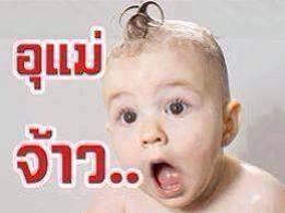 ชื่อ:  image.jpg
ครั้ง: 1320
ขนาด:  14.9 กิโลไบต์