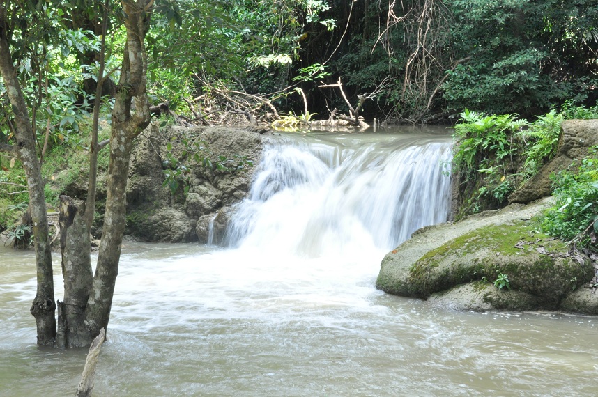 ชื่อ:  DSC_0012.JPG
ครั้ง: 919
ขนาด:  303.9 กิโลไบต์