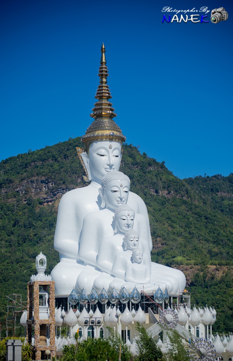 ชื่อ:  DSC_0511.jpg
ครั้ง: 2838
ขนาด:  346.3 กิโลไบต์