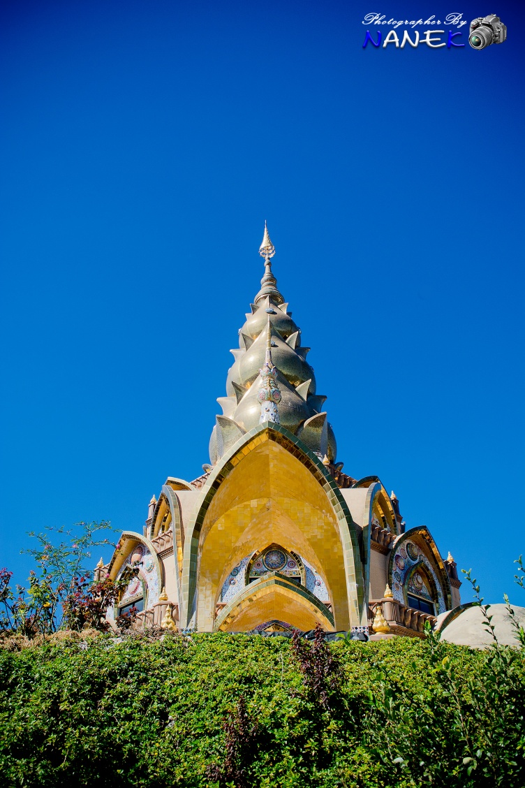 ชื่อ:  DSC_0515.jpg
ครั้ง: 629
ขนาด:  341.3 กิโลไบต์