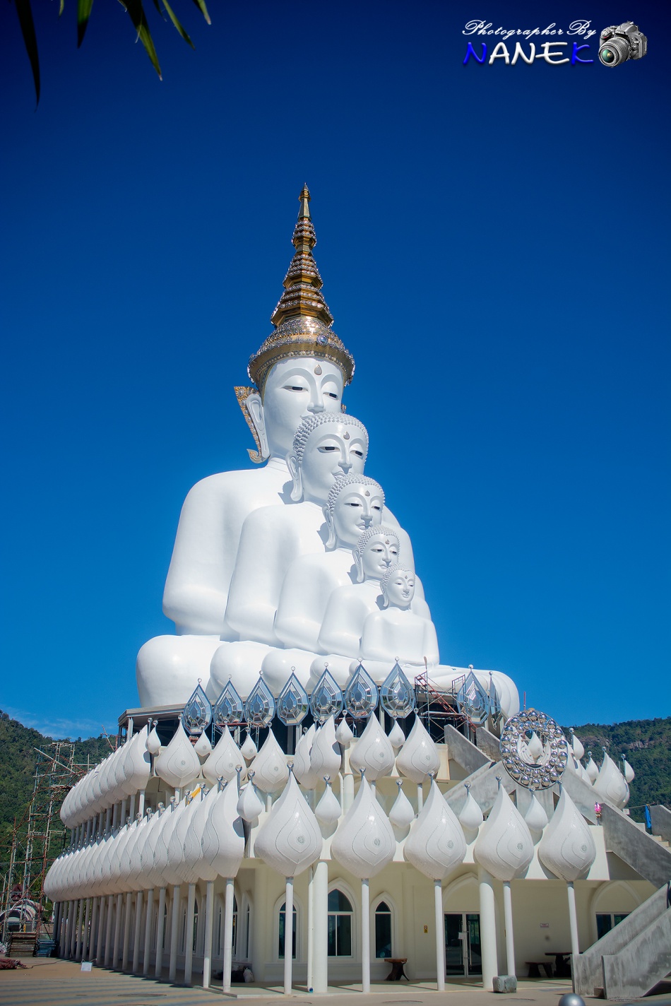 ชื่อ:  DSC_0519.jpg
ครั้ง: 674
ขนาด:  334.9 กิโลไบต์