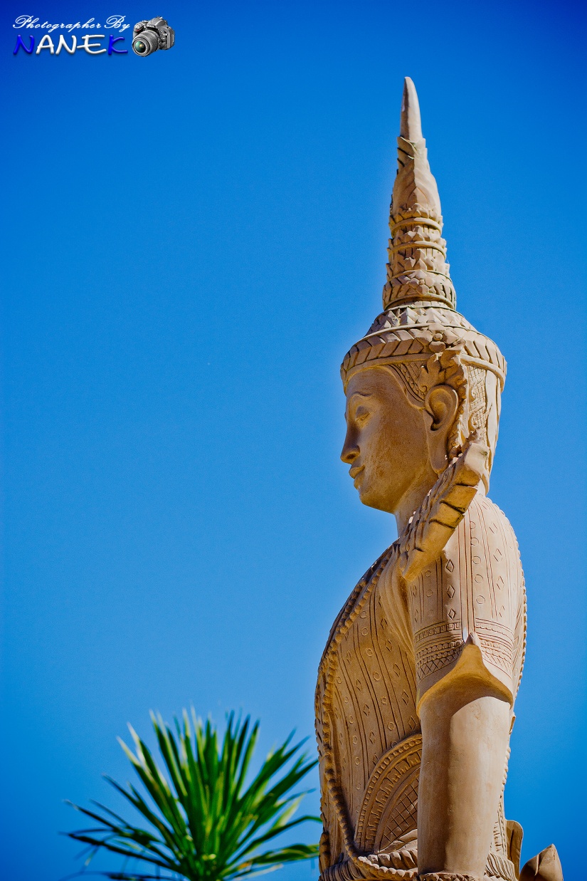 ชื่อ:  DSC_0627.jpg
ครั้ง: 606
ขนาด:  332.5 กิโลไบต์