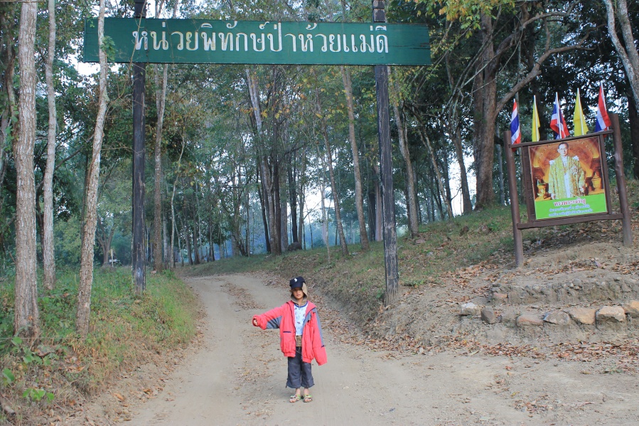 ชื่อ:  IMG_5305.jpg
ครั้ง: 853
ขนาด:  343.0 กิโลไบต์