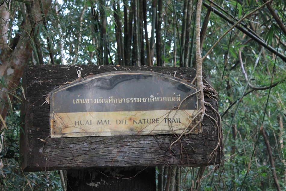 ชื่อ:  IMG_5319.jpg
ครั้ง: 825
ขนาด:  292.7 กิโลไบต์