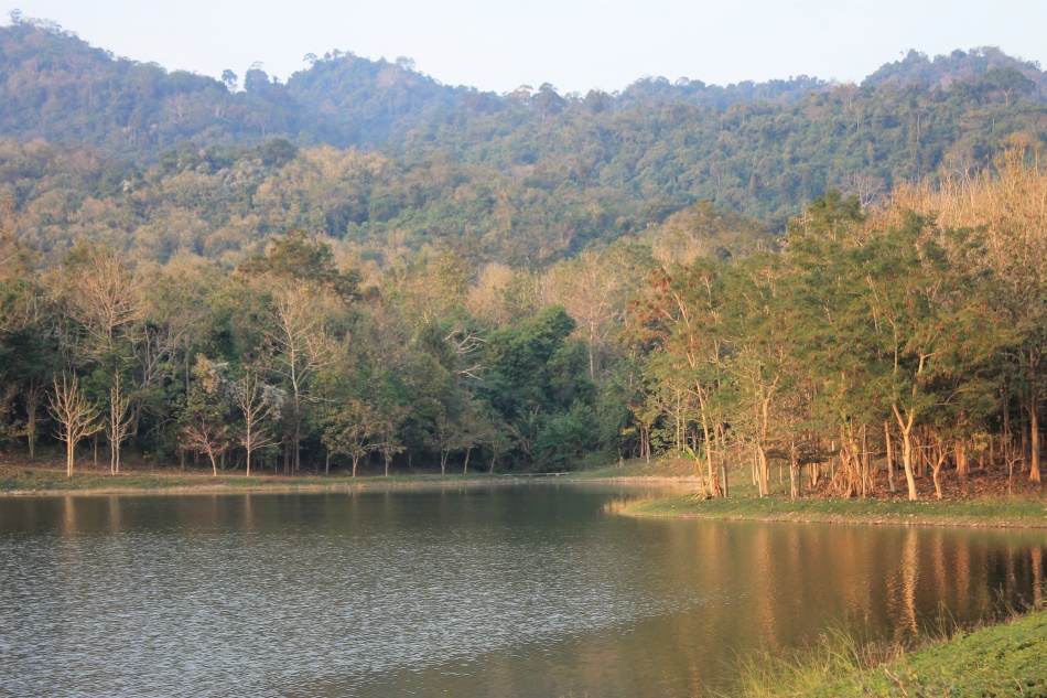 ชื่อ:  IMG_5542.jpg
ครั้ง: 216
ขนาด:  282.0 กิโลไบต์