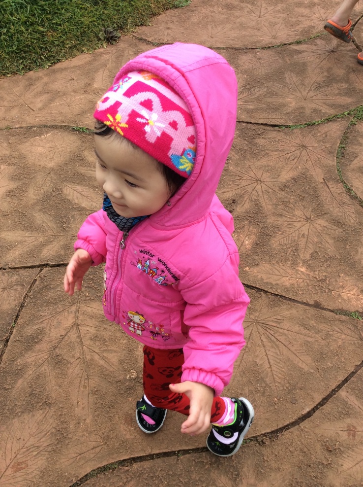 ชื่อ:  20150110_IMG_7643.jpg
ครั้ง: 1189
ขนาด:  361.8 กิโลไบต์