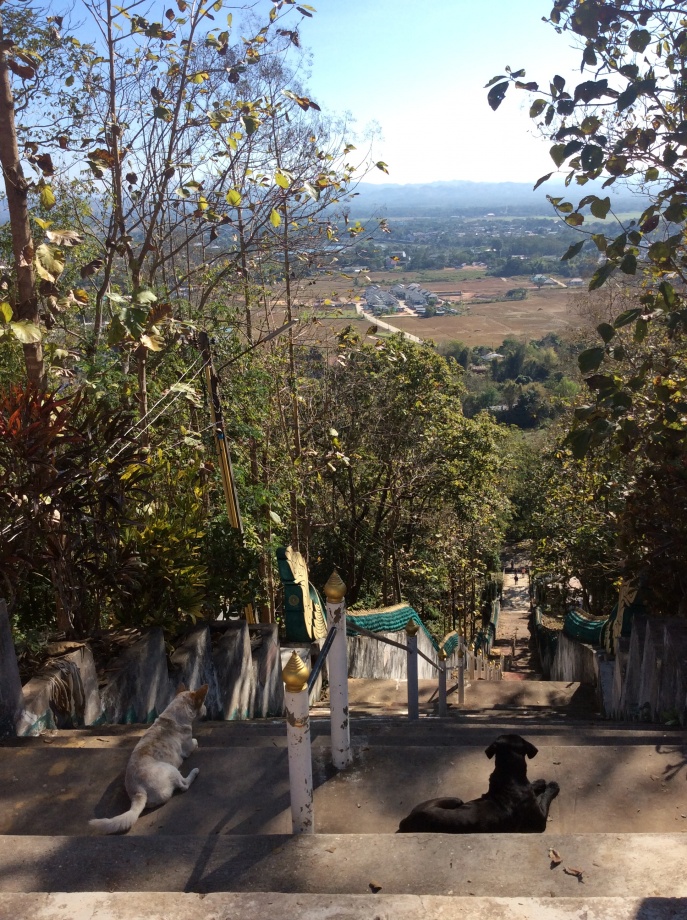 ชื่อ:  20150113_IMG_7964.jpg
ครั้ง: 1089
ขนาด:  363.2 กิโลไบต์