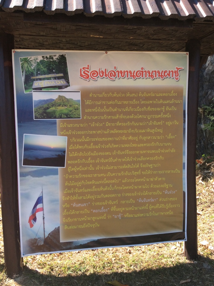 ชื่อ:  20150114_IMG_8122.jpg
ครั้ง: 1040
ขนาด:  355.9 กิโลไบต์