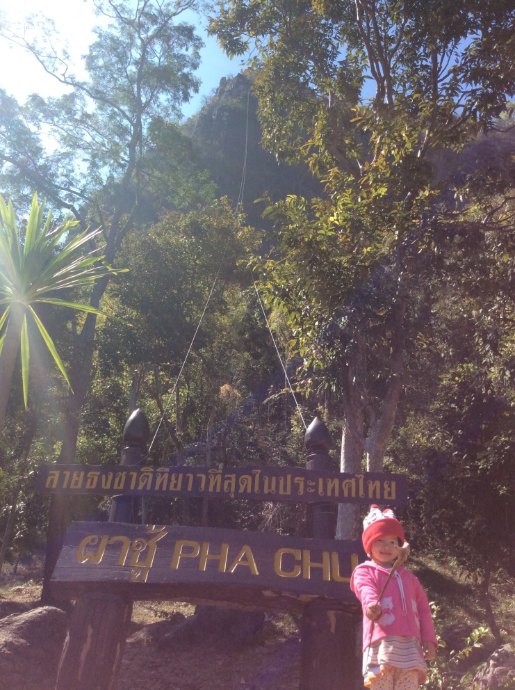 ชื่อ:  20150114_IMG_8131.jpg
ครั้ง: 1042
ขนาด:  361.4 กิโลไบต์