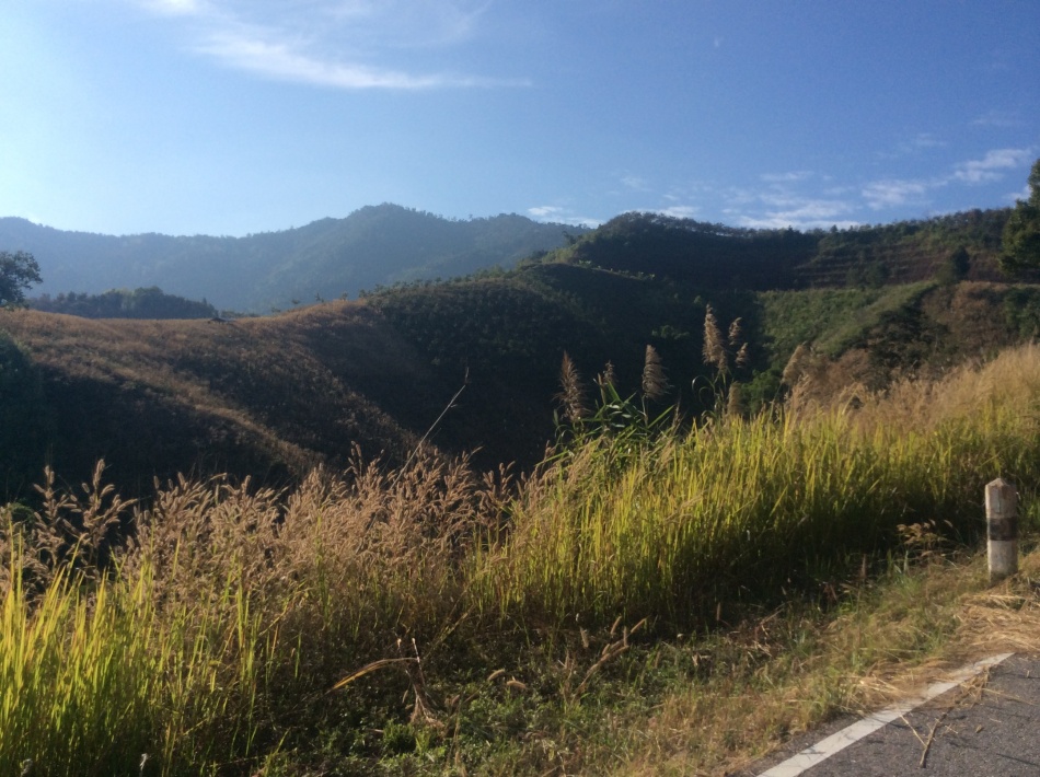 ชื่อ:  20150114_IMG_8171.jpg
ครั้ง: 1057
ขนาด:  256.1 กิโลไบต์