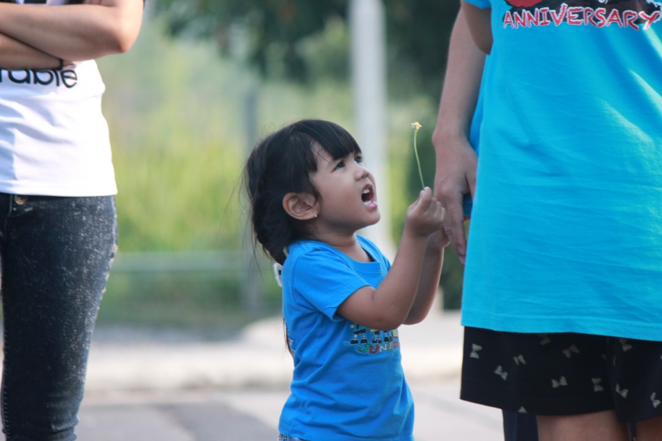 ชื่อ:  IMG_7633.jpg
ครั้ง: 654
ขนาด:  134.5 กิโลไบต์