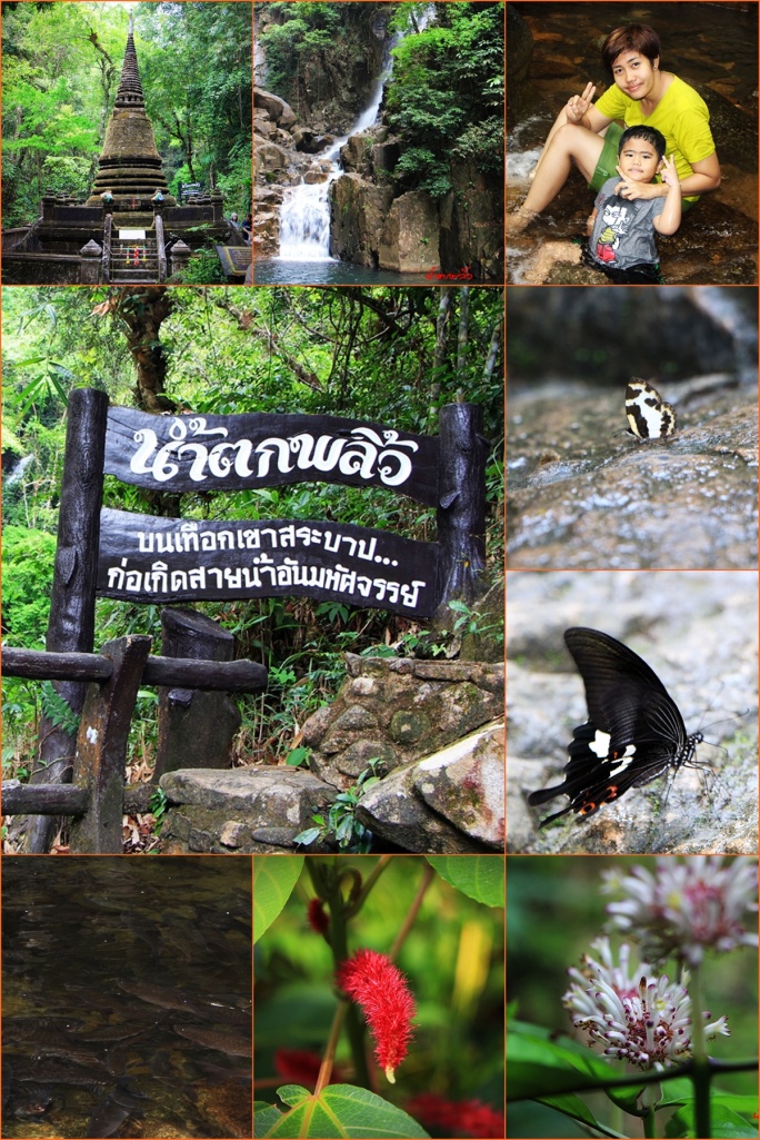 ชื่อ:  IMG_1111R.jpg
ครั้ง: 233
ขนาด:  393.0 กิโลไบต์